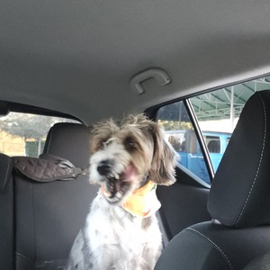 Fundraising Page: Hendrick Lopez